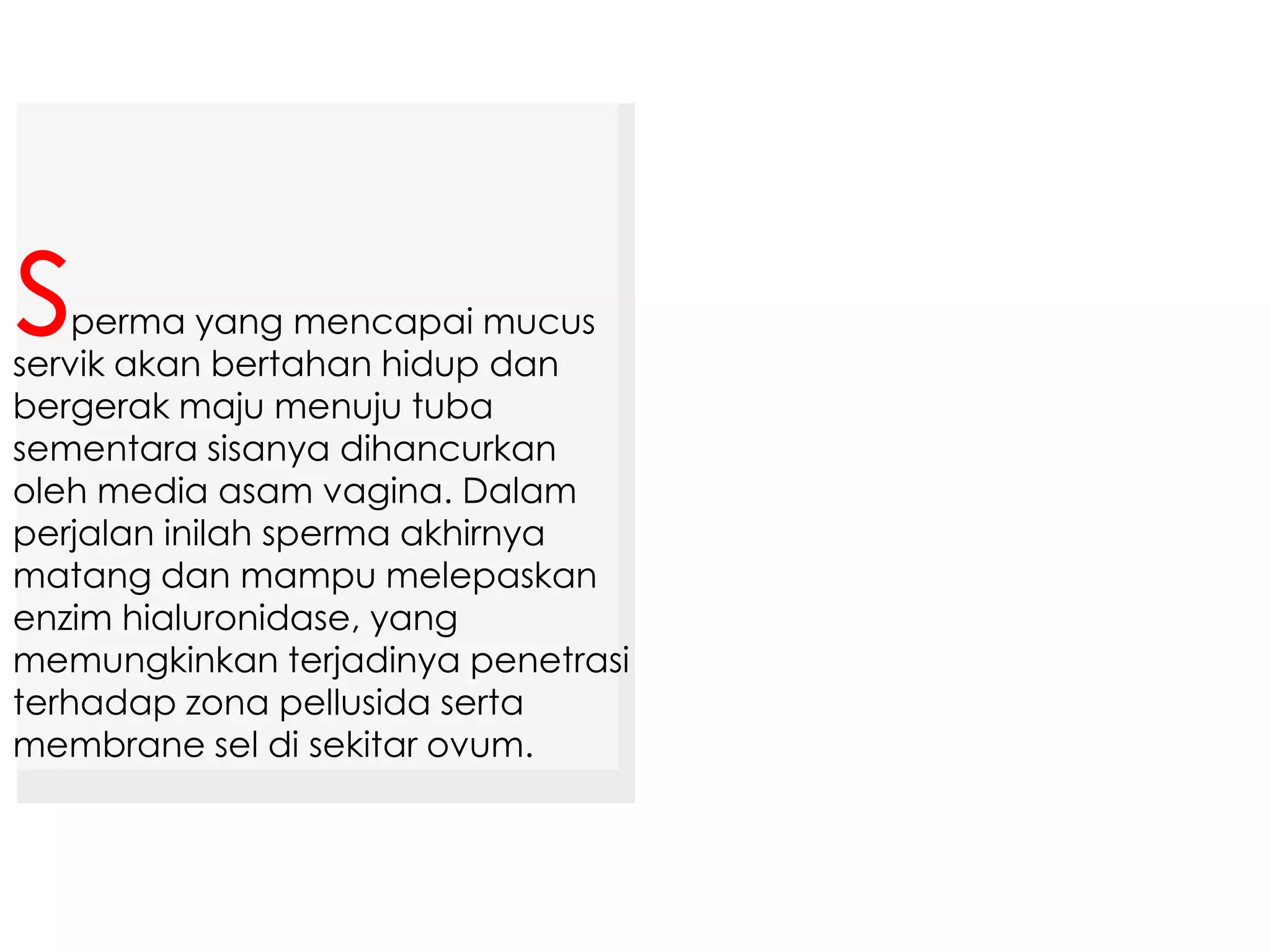 perma yang mencapai mucus
servik akan bertahan hidup dan
bergerak maju menuju tuba
sementara sisanya dihancurkan
oleh media asam vagina. Dalam
perjalan inilah sperma akhirnya
matang dan mampu melepaskan
enzim hialuronidase, yang
memungkinkan terjadinya penetrasi
terhadap zona pellusida serta
membrane sel di sekitar ovum.
s
 