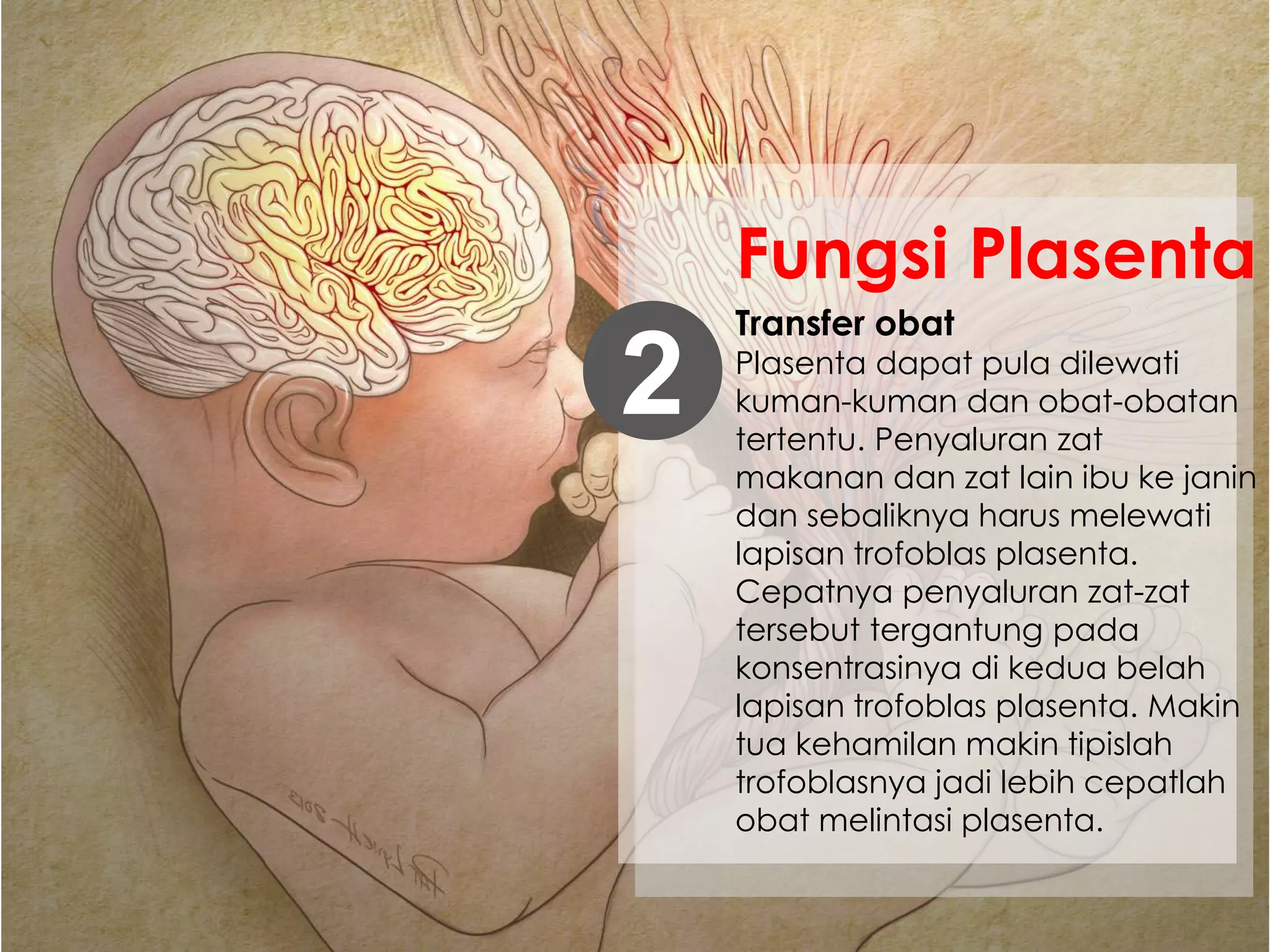 Transfer obat
Plasenta dapat pula dilewati
kuman-kuman dan obat-obatan
tertentu. Penyaluran zat
makanan dan zat lain ibu ke janin
dan sebaliknya harus melewati
lapisan trofoblas plasenta.
Cepatnya penyaluran zat-zat
tersebut tergantung pada
konsentrasinya di kedua belah
lapisan trofoblas plasenta. Makin
tua kehamilan makin tipislah
trofoblasnya jadi lebih cepatlah
obat melintasi plasenta.
2
Fungsi Plasenta
 