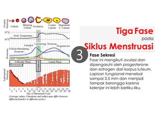Fase Sekresi
Fase ini mengikuti ovulasi dan
dipengaruhi oleh progesterone
dan estrogen dari korpus luteum.
Lapisan fungsional menebal
sampai 3,5 mm dan menjadi
tampak berongga karena
kelenjar ini lebih berliku-liku.
3
TigaFase
pada
Siklus Menstruasi
 