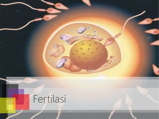 Fertilasi
 