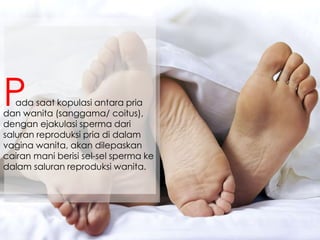ada saat kopulasi antara pria
dan wanita (sanggama/ coitus),
dengan ejakulasi sperma dari
saluran reproduksi pria di dalam
vagina wanita, akan dilepaskan
cairan mani berisi sel-sel sperma ke
dalam saluran reproduksi wanita.
P
 