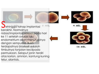 ehingga tahap implantasi
berakhir. Normalnya
nidasi/implantasi selesai pada hari
ke 11 setelah ovulasi lalu
endometrium akan menutupinya
dengan sempurna. Bukti
terdapatnya blastosit adalah
timbulnya tonjolan kecilpada
permukaan. Selaput janin terdiri
atas korion, amnion, kantung kuning
telur, alantois.
s
 