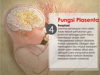 Respirasi
Selama kehidupan intra uterin
tidak terjadi pertukaran gas
pulmnal sehingga janin harus
mendapat oksign dan
mengekskresi karbon dioksida
melalui plasenta. Oksigen dari
hemoglobin ibu masuk kedalam
darah janin melalui difusi dan
dengan cara yang sama janin
melepaskan karbon dioksida
kedalam darah maternal.
4
Fungsi Plasenta
 