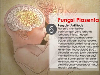 Penyalur Anti Body
Plasenta memberikan
perlindungan yang terbatas
terhadap infeksi. Kecuali
treponema yang merupakan
bakteri sifilis dan basilus tuberkel,
hanya sedikit bakteri yang dapat
menembus-nya. Pada masa akhir
kehamilan, imunoglobi G (IgG),
ditransfer kepada janin dan akan
memberi imunitas kepada bayi
selama 3 bulan pertama setelah
kelahiran. Hanya anti body yang
dimiliki ibunya yang dapat masuk
kedalm plasenta.
6
Fungsi Plasenta
 