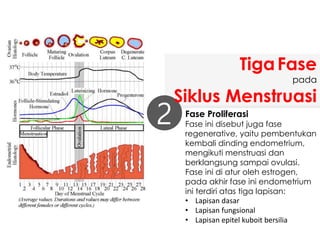 Fase Proliferasi
Fase ini disebut juga fase
regenerative, yaitu pembentukan
kembali dinding endometrium,
mengikuti menstruasi dan
berklangsung sampai ovulasi.
Fase ini di atur oleh estrogen,
pada akhir fase ini endometrium
ini terdiri atas tiga lapisan:
• Lapisan dasar
• Lapisan fungsional
• Lapisan epitel kuboit bersilia
2
TigaFase
pada
Siklus Menstruasi
 