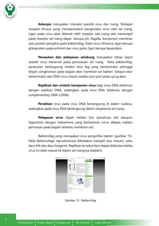 8
Modul Pendidikan Jarak Jauh, Pendidikan Tinggi Kesehatan Prodi Keperawatan
Pendahuluan	 Uraian Materi	 Rangkuman	 Tes Formatif	 Tugas Mandiri
Adsorpsi merupakan interaksi spesifik virus dan inang. Terdapat
reseptor khusus yang memperantarai pengenalan virus oleh sel inang,
Ligan pada virus akan dikenali oleh reseptor ada inang dan menempel
pada reseptor sel inang dapat berupa pili, flagella, komponen membran
atau protein pengikat pada bakteriofag. Pada virus influensa, ligan berupa
glikoprotein pada eritrosit dan virus polio, lgan berupa lipoprotein.
Perasukan dan pelepasan selubung merupakan tahap lanjut
setelah virus menemel pada permukaan sel inang. Pada bakteriofag,
perasukan berlangsung melalui ekor fag yang berkontraksi sehingga
terjadi cengkraman pada bagian ekor membran sel bakteri. Selaput ekor
berkontraksi dan DNA virus masuk melalui pori-pori pada ujung ekor.
Replikasi dan sintesis komponen virus bagi virus DNA didahului
dengan replikasi DNA, sedangkan pada virus RNA didahului dengan
complementary DNA (cDNA).
Perakitan virus pada virus DNA berlangsung di dalam nukleus,
sedangkan pada virus RNA berlangsung dalam sitoplasma sel inang.
Pelepasan virus dapat melalui lisis (pecahnya sel) ataupun
fagositosis dengan mekanisme yang berlawanan (virus dilepas melalui
pertnasan pada bagian tertentu membran sel).
Bakteriofag yang merupakan virus penginfesi bakteri (gambar 15).
Pada Bakteriofage reproduksinya dibedakan menjadi dua macam, yaitu
daur litik dan daur lisogenik. Replikasi tersebut baru dapat dilakukan ketika
virus ini telah masuk ke dalam sel inangnya (bakteri).
Gambar 15 : Bakteriofag
 