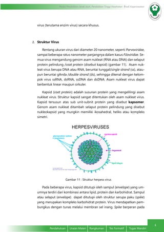4
Modul Pendidikan Jarak Jauh, Pendidikan Tinggi Kesehatan Prodi Keperawatan
Pendahuluan	 Uraian Materi	 Rangkuman	 Tes Formatif	 Tugas Mandiri
virus (terutama enzim virus) secara khusus.
2.	 Struktur Virus
Rentang ukuran virus dari diameter 20 nanometer, seperti Parvoviridae,
sampai beberapa ratus nanometer panjangnya dalam kasus Filoviridae. Se-
mua virus mengandung genom asam nukleat (RNA atau DNA) dan selaput
protein pelindung /coat protein (disebut kapsid) (gambar 11). Asam nuk-
leat virus berupa DNA atau RNA, beruntai tunggal/single strand (ss), atau-
pun beruntai gAnda /double strand (ds), sehingga dikenal dengan kelom-
pok virus ssRNA, dsRNA, ssDNA dan dsDNA. Asam nukleat virus dapat
berbentuk linear maupun sirkuler.
Kapsid (coat protein) adalah susunan protein yang mengelilingi asam
nukleat virus. Struktur kapsid sangat ditentukan oleh asam nukleat virus.
Kapsid tersusun atas sub unit-subnit protein yang disebut kapsomer.
Genom asam nukleat ditambah selaput protein pelindung yang disebut
nukleokapsid yang mungkin memiliki ikosahedral, heliks atau kompleks
simetri.
Gambar 11 : Struktur herpess virus
Pada beberapa virus, kapsid ditutupi oleh sampul (envelope) yang um-
umnya terdiri dari kombinasi antara lipid, protein dan karbohidrat. Sampul
atau selaput (envelope) dapat ditutupi oleh struktur serupa paku (spike)
yang merupakan kompleks karbohidrat protein. Virus mendapatkan pem-
bungkus dengan tunas melalui membran sel inang. Spike berperan pada
 
