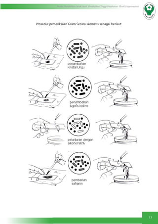 13
Modul Pendidikan Jarak Jauh, Pendidikan Tinggi Kesehatan Prodi Keperawatan
Prosedur pemeriksaan Gram Secara skematis sebagai berikut:
 
