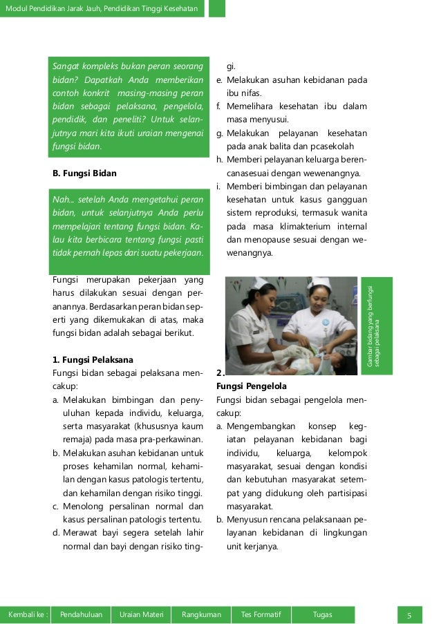 Peran dan Fungsi Bidan