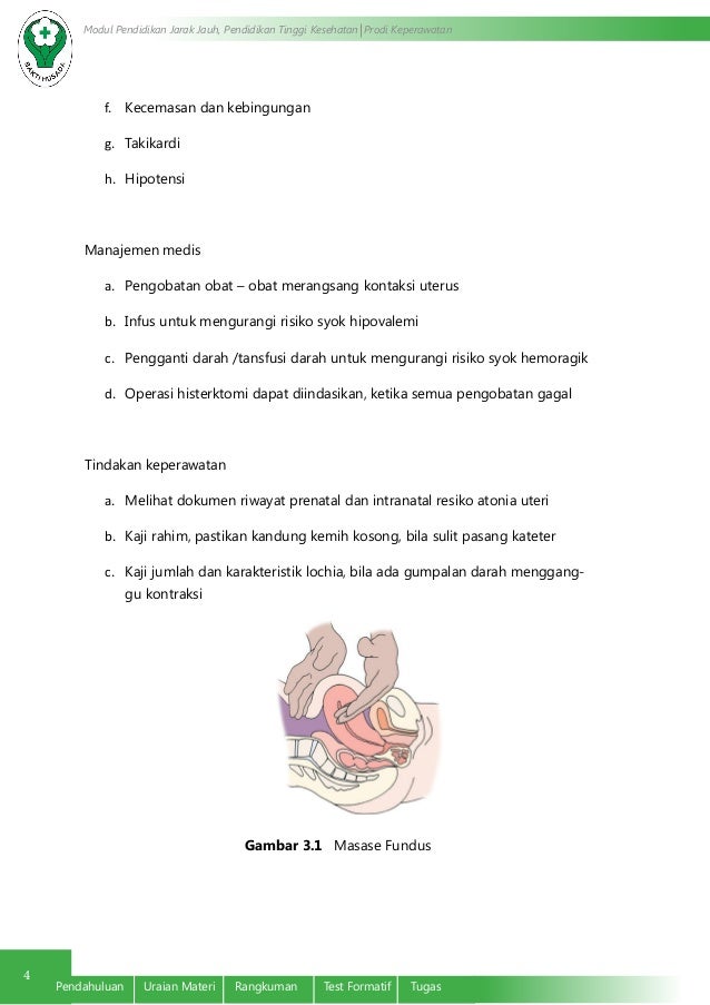 Asuhan Keperawatan Persalinan Beresiko Prematur