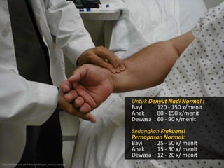 Untuk Denyut Nadi Normal :
Bayi : 120 - 150 x/menit
Anak : 80 - 150 x/menit
Dewasa : 60 - 90 x/menit
Sedangkan Frekuensi
Pernapasan Normal:
Bayi : 25 - 50 x/ menit
Anak : 15 - 30 x/ menit
Dewasa : 12 - 20 x/ menit
https://meded.ucsd.edu/clinicalmed/upper_normal_radial.jpg
 