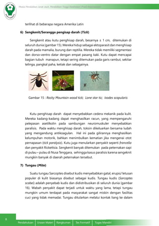 8
Modul Pendidikan Jarak Jauh, Pendidikan Tinggi Kesehatan Prodi Keperawatan
Pendahuluan	 Uraian Materi	 Rangkuman	 Tes Formatif	 Tugas Mandiri
terlihat di beberapa negara Amerika Latin
6)	 Sengkenit/Serangga pengisap darah (Tick)
Sengkenit atau kutu penghisap darah, besarnya ± 1 cm, ditemukan di
seluruh dunia (gambar 15). Mereka hidup sebagai ektoparasit dan menghisap
darah pada mamalia, burung dan reptilia. Mereka tidak memiliki segmentasi
dan dorso-ventro datar dengan empat pasang kaki. Kutu dapat mencapai
bagian tubuh manapun, tetapi sering ditemukan pada garis rambut, sekitar
telinga, pangkal paha, ketiak dan sebagainya.
Gambar 15 : Rocky Mountain wood tick; Lone star tic; Ixodes scapularis
Kutu penghisap darah dapat menyebabkan cedera mekanik pada kulit.
Mereka kadang-kadang dapat menghasilkan racun, yang mempengaruhi
pelepasan asetilkolin pada sambungan neuromuskuler menyebabkan
paralisis. Pada waktu menghisap darah, toksin dikeluarkan bersama ludah
yang mengandung antikoagulan. Hal ini pada gilirannya menghasilkan
kelumpuhan motorik, bahkan menimbulkan kematian jika mengenai otot
pernapasan (tick paralysis). Kutu juga menularkan penyakit seperti francella
dan penyakit Rickettsia. Sengkenit banyak ditemukan pada peternakan sapi
di pulau – pulau di Nusa Tenggara, sehingga kasus paralisis karena sengeknit
mungkin banyak di daerah peternakan tersebut.
7)	 Tungau (Mite)
Suatu tungau Sarcoptes disebut kudis menyebabkan gatal, erupsi/ letusan
populer di kulit biasanya disebut sebagai kudis. Tungau kudis (Sarcoptes
scabei) adalah penyebab kudis dan didistribusikan di seluruh dunia (gambar
16). Wabah penyakit dapat terjadi untuk waktu yang lama, tetapi tungau
mungkin umum terdapat pada masyarakat sangat miskin dengan fasilitas
cuci yang tidak memadai. Tungau ditularkan melalui kontak liang ke dalam
 