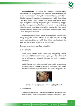 15
Modul Pendidikan Jarak Jauh, Pendidikan Tinggi Kesehatan Prodi Keperawatan
Pendahuluan	 Uraian Materi	 Rangkuman	 Tes Formatif	 Tugas Mandiri
	 Microsporum sp (13 spesies). Microsporium menginfeksi kulit
dan rambut, dan jarang pada kuku . Prevalensi infeksi telah menurun
secara signifikan dalam beberapa tahun terakhir. Ketika prevalent (15-
20 tahun yang lalu), organisme ini dapat dengan mudah diidentifikasi
pada kulit kepala karena rambut yang terinfeksi berpendar warna
hijau terang ketika diterangi dengan cahaya UV . Miselia yang longgar
dan berwarna putih menghasilkan macroconidia yang berdinding
tebal, berbentuk gelendong, multiseluler, dan berduri (echinulate).
Microsporum canis adalah salah satu spesies dermatofit yang paling
umum menginfeksi manusia
	 Epidermophyton floccosum. Spesies ini menginfeksi kulit dan kuku
dan jarang pada rambut. Mereka membentuk berwarna kuning,
biakan putih dan biasanya mudah diidentifikasi oleh ketebalan, hifa
yang bercabang halus macroconidia, berbentuk klub.
Beberapa jenis mikosis superfisial antara lain :
a.	 Tinea Capitis
Tinea capitis adalah infeksi jamur yang menyerang stratum
corneum kulit kepala dan rambut kepala, yang disebabkan oleh
genus Microsporum audouinii, Microsporum canis, Tricophyton
sulfureum
Gejala Rambut yang terkena tampak kusa, mudah patah, tinggal
potongan rambut pendek pada daerah yang botak pada infeksi
berat kulit kepala menjadi edematous dan bernanah (gambar 18).
Gambar 18 : Tinea faciei atau “Tinea capitis pada anak.
b.	 Tinea Favosa
Tinea favosa merupakan infeksi pada kulit kepala, kulit badan yang
tidak berambut dan kuku. Penyebab Tricophyton schoenleinii. Gejala
 