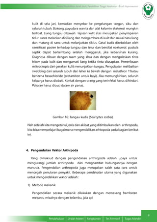 Entomologi dan Mikologi