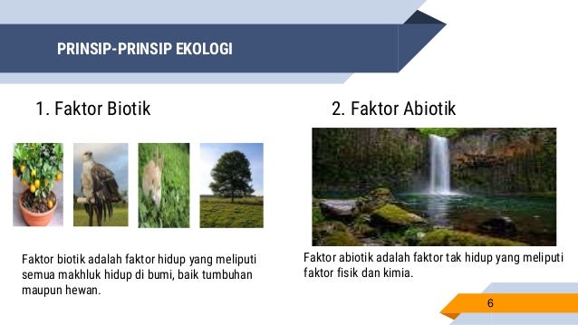 Makhluk Hidup Dan Lingkungannya Materi Ppg Daljab Ipa