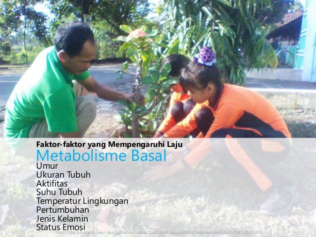 pemberian cara ukuran 4 macam Kb modul 4 kdm 2 ii