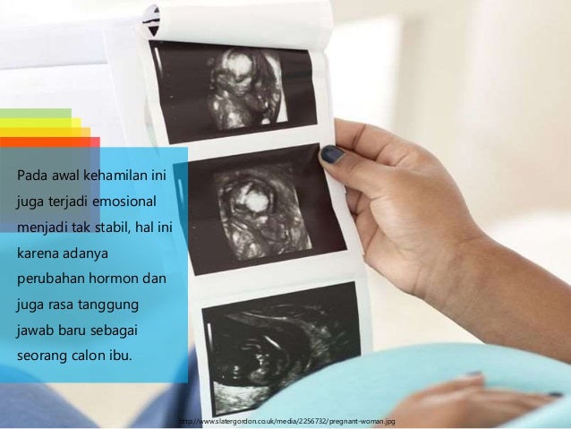 Perubahan Dan Adaptasi Psikologis Pada Ibu Hamil