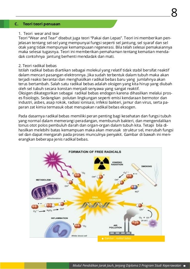 Proses Penuaan Proses Penuaan