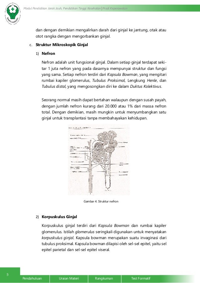 Anatomi dan Fisiologi Ginjal dan Saluran Perkemihan