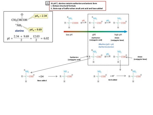 9-log2 Spectroscopy, UV B and Electrophoresis Option Chemistry