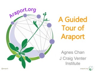 araport.org@araport
A Guided
Tour of
Araport
Agnes Chan
J Craig Venter
Institute
 