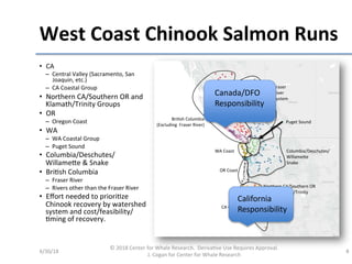 West Coast Chinook Salmon Runs
•
–
–
•
•
–
•
–
–
•
•
–
–
•
Canada/DFO
Responsibility
California
Responsibility
 