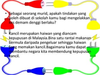 • Sebagai seorang murid, apakah tindakan yang
boleh dibuat di sekolah kamu bagi mengelakkan
kes demam denggi berlaku?
• Kancil merupakan haiwan yang diancam
kepupusan di Malaysia.Bina satu rantai makanan
bermula daripada pengeluar sehingga haiwan
yang memakan kancil.Bagaimana kamu dapat
membantu negara kita membendung kepupusan
kancil.
 