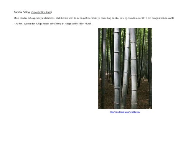  Konstruksi  Bahan Bangunan Bambu 