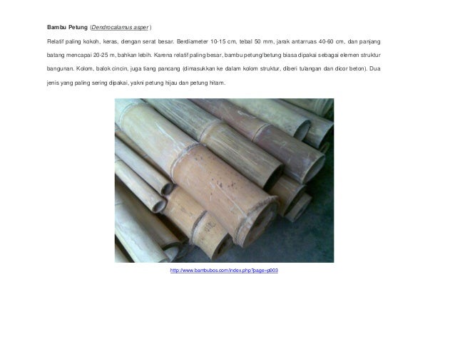 17 Kerajinan  Bambu  Gombong Motif Terbaru 