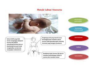 Metode Laktasi Amenorea
Keuntungan
nonkotraseptif
Keterbatasan
indikasi
kontraindikasi
Keuntungan
kontraseptif
Penghisapan ASI yang intensif secara
berulangkali akan menekan sekresi
hormon GnRH (gonadotrophin releasing
hormone) yang mengatur kesuburan
Sekresi GnRH yang tidak
teratur menganggu pelepasan
hormon FSH (follicle
stimulating hormone) dan LH
(leutinizing hormone) untuk
menghasilkan sel telur dan
menyiapkan endometrium
Rendahnya kadar hormon FSH dan LH
menekan perkembangan folikel di
ovarium dan menekan ovulasi
 