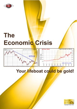 The
Economic Crisis



   Your lifeboat could be gold!




                          Copyright Team One
 
