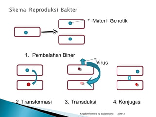 Materi Genetik
1. Pembelahan Biner
Virus
2. Transformasi 3. Transduksi 4. Konjugasi
13/09/13Kingdom Monera by Subardiyono
 