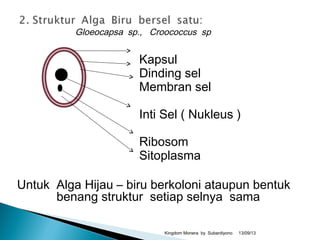 Gloeocapsa sp., Croococcus sp.
Kapsul
Dinding sel
Membran sel
Inti Sel ( Nukleus )
Ribosom
Sitoplasma
Untuk Alga Hijau – biru berkoloni ataupun bentuk
benang struktur setiap selnya sama
13/09/13Kingdom Monera by Subardiyono
 