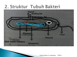 13/09/13Kingdom Monera by Subardiyono
Kapsul
Dinding Sel
Membran Sel
Ribosom
DNA dalam Nukleus
Sitoplasma
Plasmid
Flagel
 