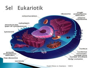 13/09/13Kingdom Monera by Subardiyono
 