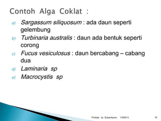 a) Sargassum siliquosum : ada daun seperti
gelembung
b) Turbinaria australis : daun ada bentuk seperti
corong
c) Fucus vesiculosus : daun bercabang – cabang
dua
d) Laminaria sp
e) Macrocystis sp
13/09/13Protista by Subardiyono 18
 