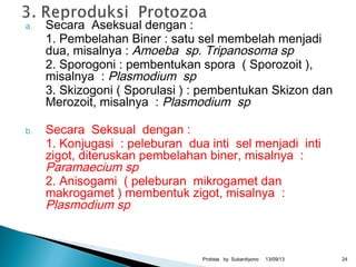 a. Secara Aseksual dengan :
1. Pembelahan Biner : satu sel membelah menjadi
dua, misalnya : Amoeba sp. Tripanosoma sp
2. Sporogoni : pembentukan spora ( Sporozoit ),
misalnya : Plasmodium sp
3. Skizogoni ( Sporulasi ) : pembentukan Skizon dan
Merozoit, misalnya : Plasmodium sp
b. Secara Seksual dengan :
1. Konjugasi : peleburan dua inti sel menjadi inti
zigot, diteruskan pembelahan biner, misalnya :
Paramaecium sp
2. Anisogami ( peleburan mikrogamet dan
makrogamet ) membentuk zigot, misalnya :
Plasmodium sp
13/09/13Protista by Subardiyono 24
 