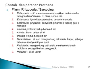 a. Filum Rhizopoda / Sarcodina :
1. Entamoeba coli : membantu membusukkan makanan dan
menghasilkan Vitamin K, di usus manusia
2. Entamoeba hystolitica : penyebab desentri manusia
3. Entamoeba gingivalis : penyebab gingivitis ( radang gusi )
manusia
4. Amoeba proteus : hidup bebas di air
5. Arcella : hidup bebas di air
6. Diflugia : hidup bebas di air
7. Foraminifera : di laut, mengandung zat kersik /kapur, sebagai
petunjuk adanya minyak bumi
8. Radiolaria : mengandung zat kersik, membentuk tanah
radiolaria, sebagai bahan penggosok
9. Heliozoa : di air tawar
13/09/13Protista by Subardiyono 27
 