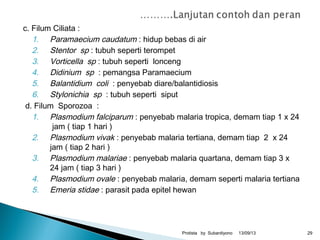 c. Filum Ciliata :
1. Paramaecium caudatum : hidup bebas di air
2. Stentor sp : tubuh seperti terompet
3. Vorticella sp : tubuh seperti lonceng
4. Didinium sp : pemangsa Paramaecium
5. Balantidium coli : penyebab diare/balantidiosis
6. Stylonichia sp : tubuh seperti siput
d. Filum Sporozoa :
1. Plasmodium falciparum : penyebab malaria tropica, demam tiap 1 x 24
jam ( tiap 1 hari )
2. Plasmodium vivak : penyebab malaria tertiana, demam tiap 2 x 24
jam ( tiap 2 hari )
3. Plasmodium malariae : penyebab malaria quartana, demam tiap 3 x
24 jam ( tiap 3 hari )
4. Plasmodium ovale : penyebab malaria, demam seperti malaria tertiana
5. Emeria stidae : parasit pada epitel hewan
13/09/13Protista by Subardiyono 29
 