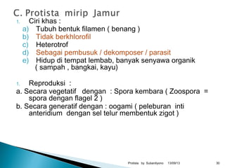1. Ciri khas :
a) Tubuh bentuk filamen ( benang )
b) Tidak berkhlorofil
c) Heterotrof
d) Sebagai pembusuk / dekomposer / parasit
e) Hidup di tempat lembab, banyak senyawa organik
( sampah , bangkai, kayu)
1. Reproduksi :
a. Secara vegetatif dengan : Spora kembara ( Zoospora =
spora dengan flagel 2 )
b. Secara generatif dengan : oogami ( peleburan inti
anteridium dengan sel telur membentuk zigot )
13/09/13Protista by Subardiyono 30
 