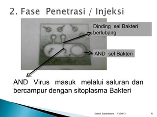 13/09/13Edited Subardiyono
AND sel Bakteri
AND Virus masuk melalui saluran dan
bercampur dengan sitoplasma Bakteri
Dinding sel Bakteri
berlubang
13
 