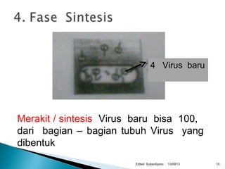 13/09/13Edited Subardiyono
4 Virus baru
Merakit / sintesis Virus baru bisa 100,
dari bagian – bagian tubuh Virus yang
dibentuk
15
 
