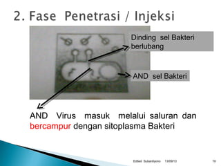 13/09/13Edited Subardiyono
AND sel Bakteri
AND Virus masuk melalui saluran dan
bercampur dengan sitoplasma Bakteri
Dinding sel Bakteri
berlubang
19
 