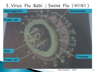 13/09/13Edited Subardiyono 8
NeuramidaseHaemagglutinin
Protein M2
RNA
Protein M1
Envelope
 