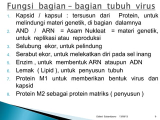 1. Kapsid / kapsul : tersusun dari Protein, untuk
melindungi materi genetik, di bagian dalamnya
2. AND / ARN = Asam Nukleat = materi genetik,
untuk replikasi atau reproduksi
3. Selubung ekor, untuk pelindung
4. Serabut ekor, untuk melekatkan diri pada sel inang
5. Enzim , untuk membentuk ARN ataupun ADN
6. Lemak ( Lipid ), untuk penyusun tubuh
7. Protein M1 untuk memberikan bentuk virus dan
kapsid
8. Protein M2 sebagai protein matriks ( penyusun )
13/09/13Edited Subardiyono 9
 