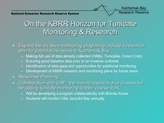 On the KBRR Horizon for Tunicate Monitoring & Research Expand the invasive monitoring program to include a research plan for potential invasives to Kachemak Bay Making full use of data already collected (HABs, Tunicates, Green Crab) Ensuring good baseline data prior to an invasive outbreak Identification of data gaps and opportunities for additional monitoring Development of KBRR research and monitoring plans for future years Response Planning Collaboration with UAF:  the marine research dive classes will be adding tunicate monitoring to their course work Will be developing a program collaboratively with Brenda Konar Students will monitor Little Jackolof Bay annually 