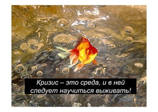 Кризис – это среда, и в ней
следует научиться выживать!
                                6
 