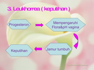3. Leukhorrea ( keputihan ) Progesteron Mempengaruhi Flora&pH vagina Jamur tumbuh  Keputihan 