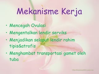 Mekanisme Kerja Mencegah Ovulasi Mengentalkan lendir serviks Menjadikan selaput lendir rahim tipis&atrofis Menghambat transportasi gamet oleh tuba 