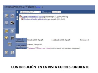CONTRIBUCIÓN  EN LA VISTA CORRESPONDIENTE 